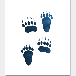 Bear Pawprints Posters and Art